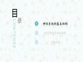 2.1 神经调节的结构基础 课件-【新教材】2021-2022学年高二生物选择性（2019）必修一