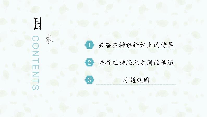 2.3 神经冲动的产生和传导 课件-【新教材】2021-2022学年高二生物选择性（2019）必修一第4页