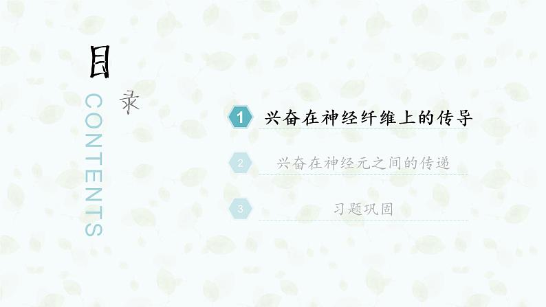 2.3 神经冲动的产生和传导 课件-【新教材】2021-2022学年高二生物选择性（2019）必修一第5页