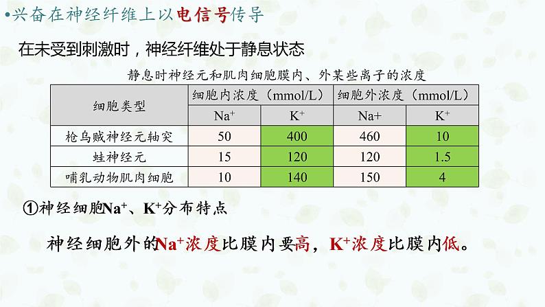 2.3 神经冲动的产生和传导 课件-【新教材】2021-2022学年高二生物选择性（2019）必修一第7页