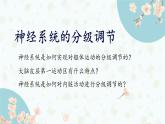 2.4 神经系统的分级调节 课件-【新教材】2021-2022学年高二生物选择性（2019）必修一