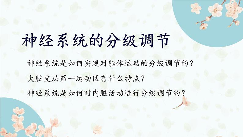 2.4 神经系统的分级调节 课件-【新教材】2021-2022学年高二生物选择性（2019）必修一01