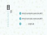 2.4 神经系统的分级调节 课件-【新教材】2021-2022学年高二生物选择性（2019）必修一