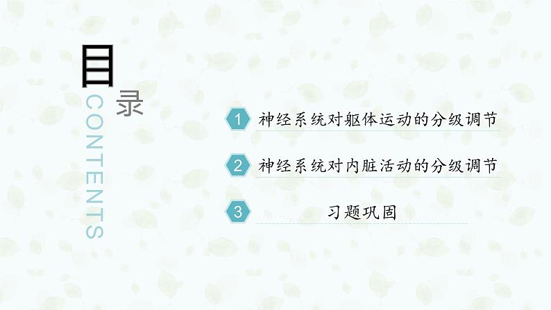 2.4 神经系统的分级调节 课件-【新教材】2021-2022学年高二生物选择性（2019）必修一03