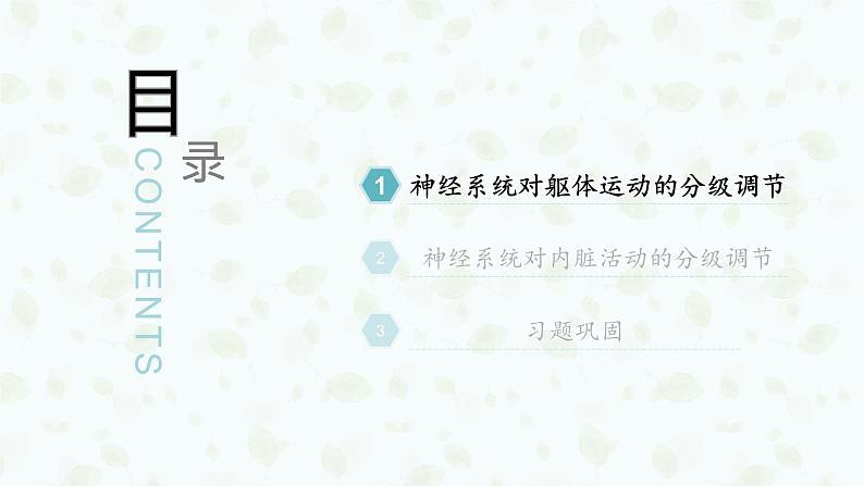 2.4 神经系统的分级调节 课件-【新教材】2021-2022学年高二生物选择性（2019）必修一04