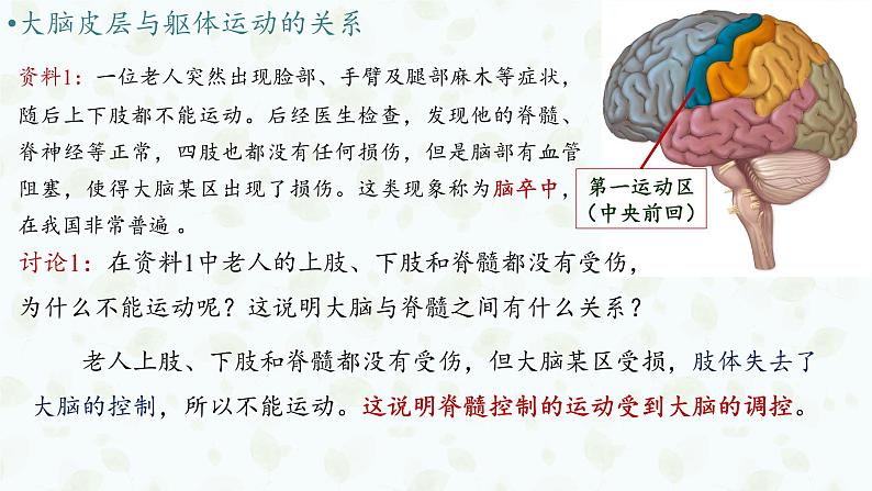 2.4 神经系统的分级调节 课件-【新教材】2021-2022学年高二生物选择性（2019）必修一07