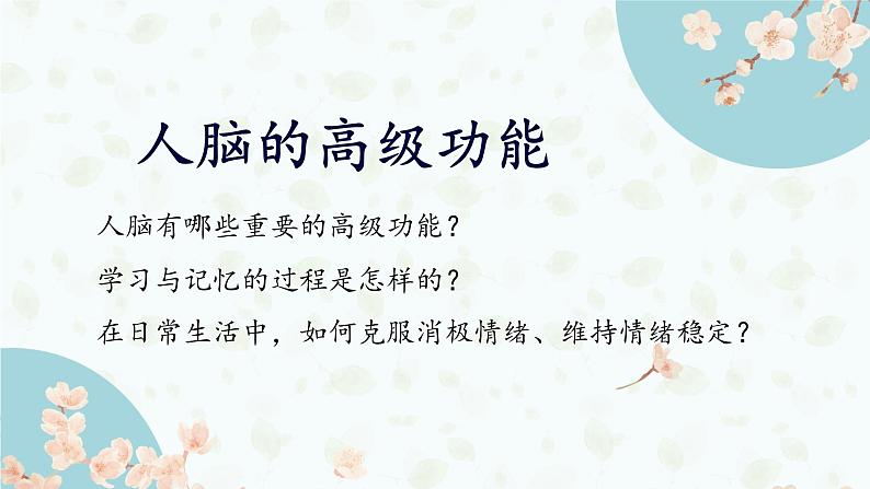 2.5 人脑的高级功能 课件-【新教材】2021-2022学年高二生物选择性（2019）必修一第1页