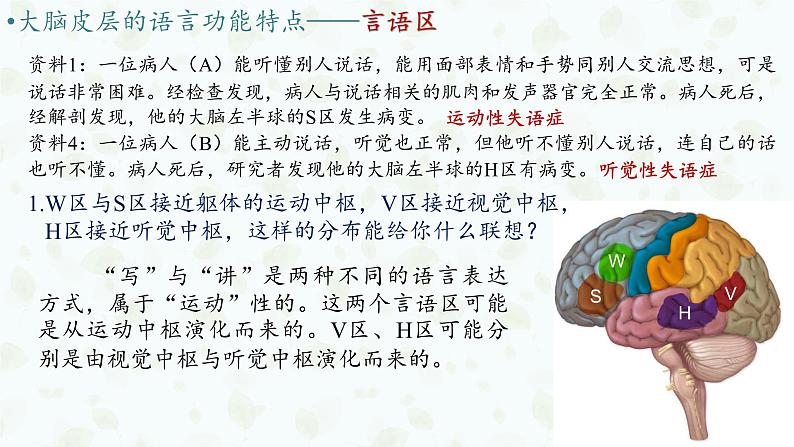 2.5 人脑的高级功能 课件-【新教材】2021-2022学年高二生物选择性（2019）必修一第8页