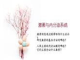 3.1 激素与内分泌系统 课件-【新教材】2021-2022学年高二生物选择性（2019）必修一