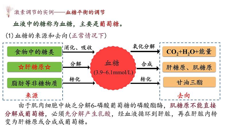 3.2 激素调节的过程 课件-【新教材】2021-2022学年高二生物选择性（2019）必修一06