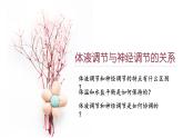 3.3 体液调节与神经调节的关系 课件-【新教材】2021-2022学年高二生物选择性（2019）必修一