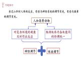 3.3 体液调节与神经调节的关系 课件-【新教材】2021-2022学年高二生物选择性（2019）必修一