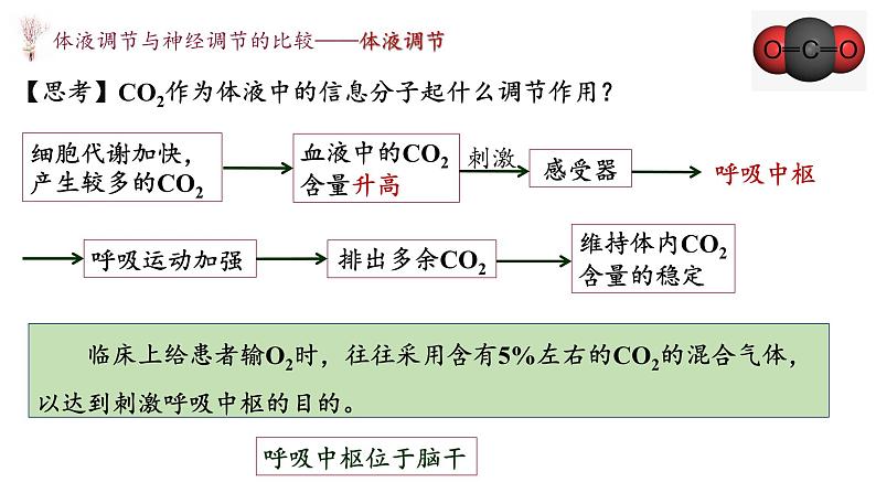 3.3 体液调节与神经调节的关系 课件-【新教材】2021-2022学年高二生物选择性（2019）必修一第8页