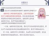 4.1 免疫系统的组成和功能 课件-【新教材】2021-2022学年高二生物选择性（2019）必修一