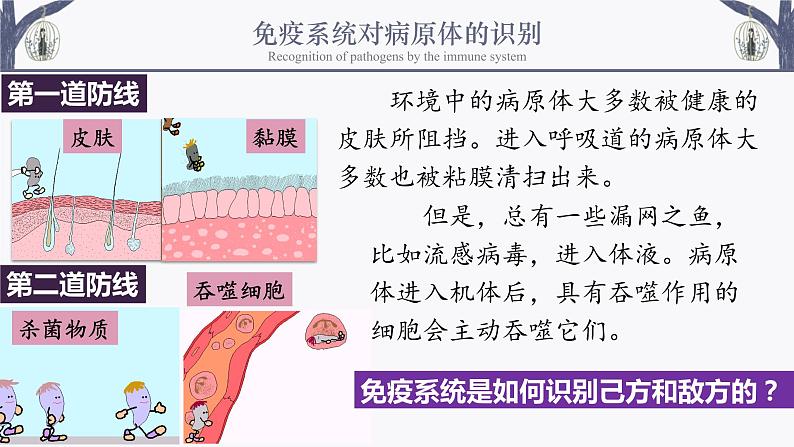 4.2 特异性免疫 课件-【新教材】2021-2022学年高二生物选择性（2019）必修一第6页