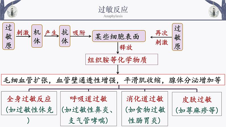 4.3 免疫失调 课件-【新教材】2021-2022学年高二生物选择性（2019）必修一第8页