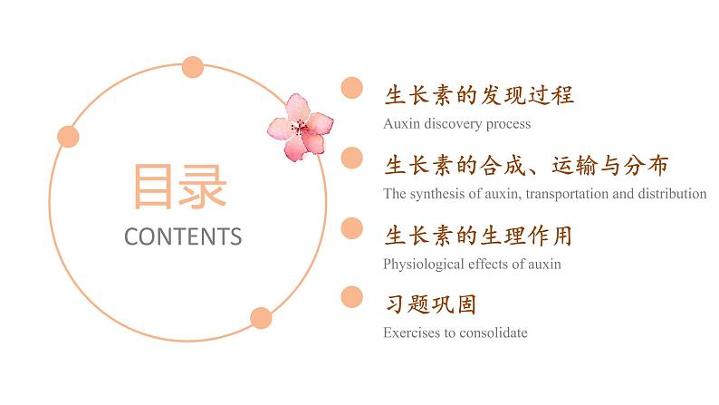 5.1 植物生长素 课件-【新教材】2021-2022学年高二生物选择性（2019）必修一第2页