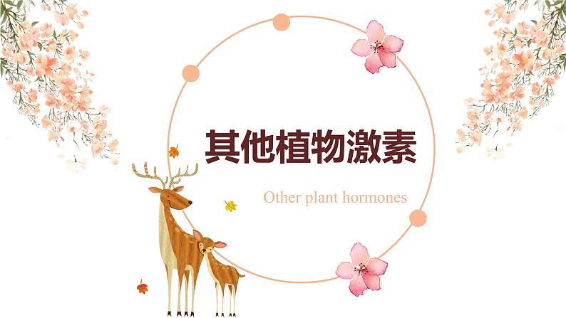 5.2 其他植物激素 课件-【新教材】2021-2022学年高二生物选择性（2019）必修一01