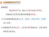 5.2 其他植物激素 课件-【新教材】2021-2022学年高二生物选择性（2019）必修一
