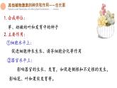 5.2 其他植物激素 课件-【新教材】2021-2022学年高二生物选择性（2019）必修一