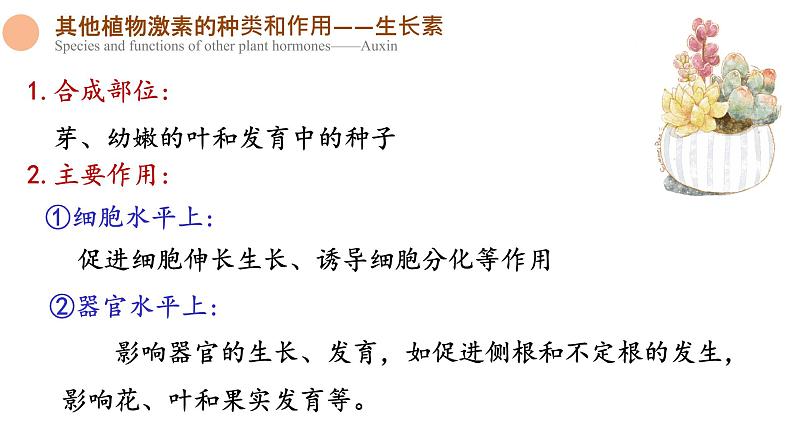 5.2 其他植物激素 课件-【新教材】2021-2022学年高二生物选择性（2019）必修一05