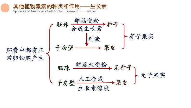 5.2 其他植物激素 课件-【新教材】2021-2022学年高二生物选择性（2019）必修一07