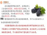 5.3 植物生长调节剂的应用 课件-【新教材】2021-2022学年高二生物选择性（2019）必修一