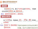 5.3 植物生长调节剂的应用 课件-【新教材】2021-2022学年高二生物选择性（2019）必修一