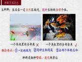 1.1 种群的数量特征 课件-【新教材】2021-2022学年高二生物选择性（2019）必修二