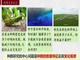 1.1 种群的数量特征 课件-【新教材】2021-2022学年高二生物选择性（2019）必修二