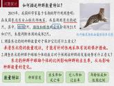 1.1 种群的数量特征 课件-【新教材】2021-2022学年高二生物选择性（2019）必修二