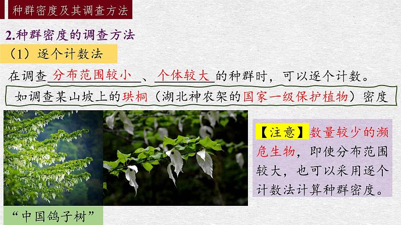 1.1 种群的数量特征 课件-【新教材】2021-2022学年高二生物选择性（2019）必修二08