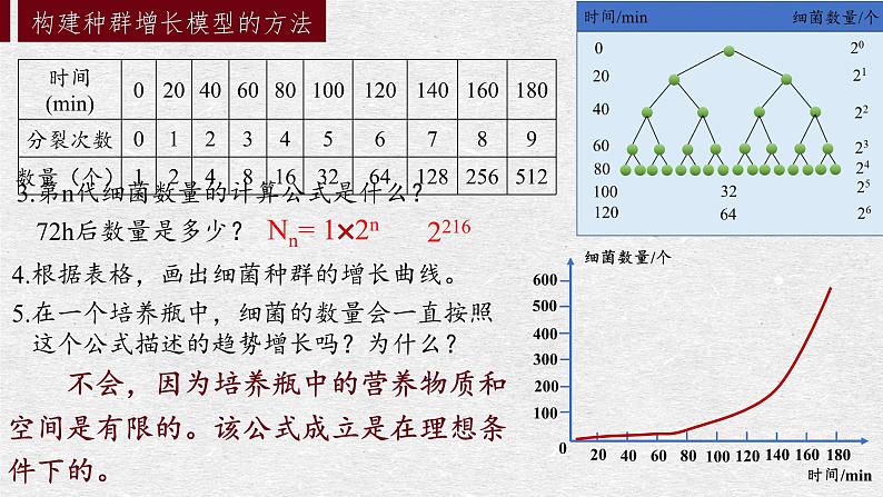 1.2 种群数量的变化 课件-【新教材】2021-2022学年高二生物选择性（2019）必修二第5页