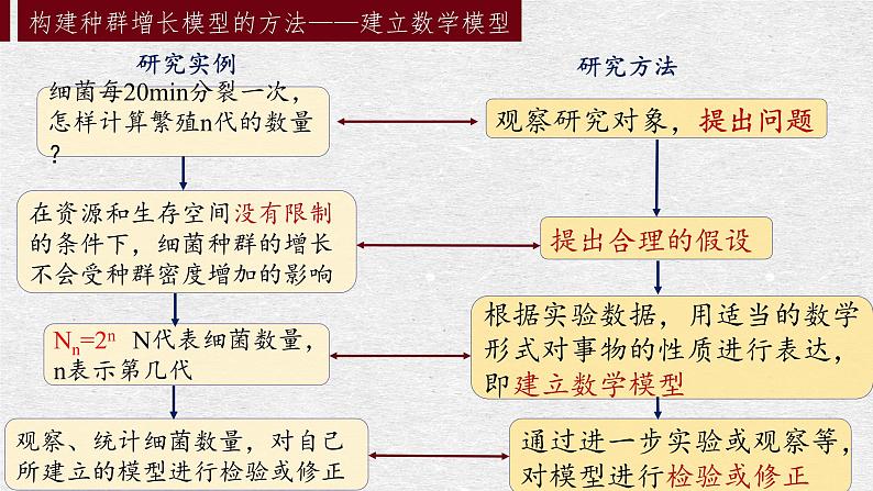 1.2 种群数量的变化 课件-【新教材】2021-2022学年高二生物选择性（2019）必修二第6页