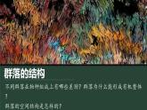 2.1 群落的结构 课件-【新教材】2021-2022学年高二生物选择性（2019）必修二
