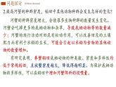 2.1 群落的结构 课件-【新教材】2021-2022学年高二生物选择性（2019）必修二