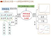 2.1 群落的结构 课件-【新教材】2021-2022学年高二生物选择性（2019）必修二