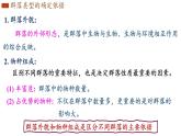 2.2 群落的主要类型 课件-【新教材】2021-2022学年高二生物选择性（2019）必修二