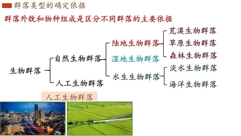 2.2 群落的主要类型 课件-【新教材】2021-2022学年高二生物选择性（2019）必修二第5页