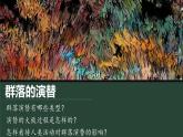 2.3 群落的演替 课件-【新教材】2021-2022学年高二生物选择性（2019）必修二