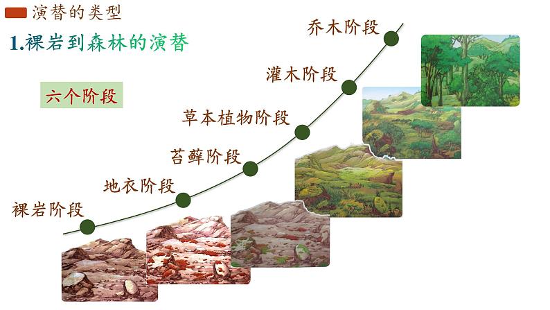 2.3 群落的演替 课件-【新教材】2021-2022学年高二生物选择性（2019）必修二第6页