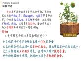 3.1 生态系统的结构 课件-【新教材】2021-2022学年高二生物选择性（2019）必修二
