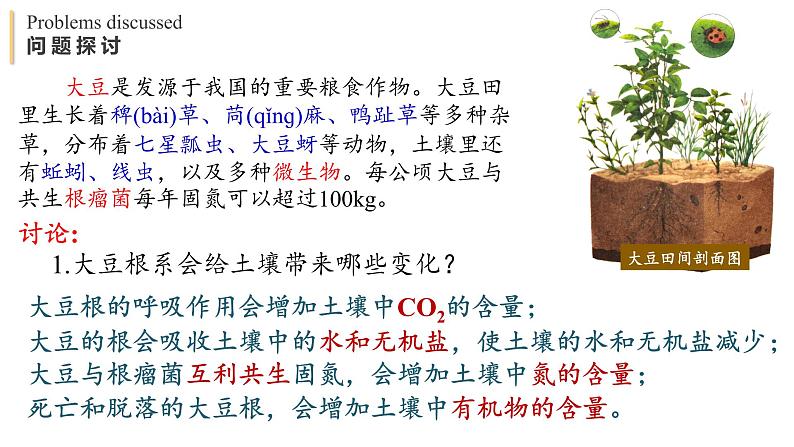 3.1 生态系统的结构 课件-【新教材】2021-2022学年高二生物选择性（2019）必修二第2页