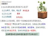 3.1 生态系统的结构 课件-【新教材】2021-2022学年高二生物选择性（2019）必修二
