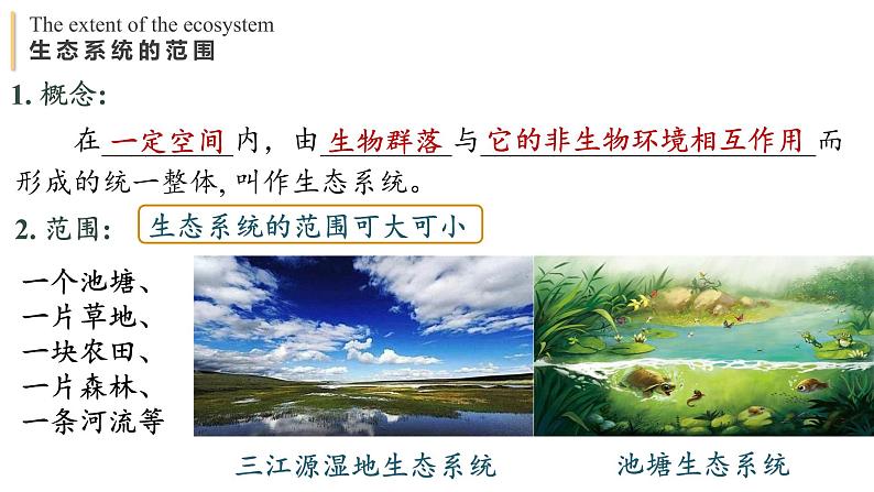 3.1 生态系统的结构 课件-【新教材】2021-2022学年高二生物选择性（2019）必修二第6页