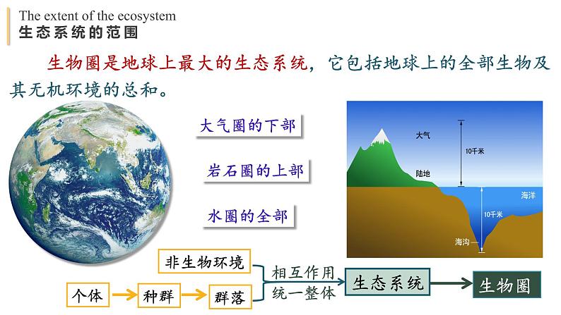 3.1 生态系统的结构 课件-【新教材】2021-2022学年高二生物选择性（2019）必修二第7页