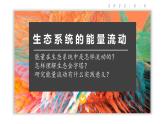 3.2 生态系统的能量流动  课件-【新教材】2021-2022学年高二生物选择性（2019）必修二