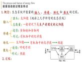 3.2 生态系统的能量流动  课件-【新教材】2021-2022学年高二生物选择性（2019）必修二