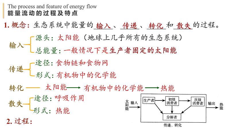 3.2 生态系统的能量流动  课件-【新教材】2021-2022学年高二生物选择性（2019）必修二第5页