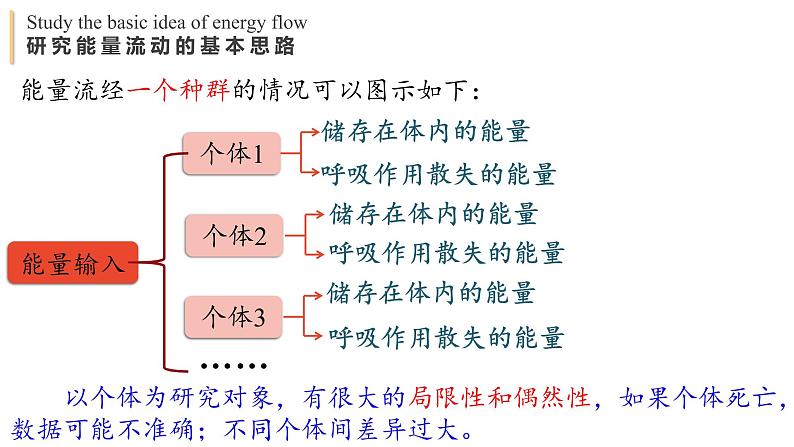 3.2 生态系统的能量流动  课件-【新教材】2021-2022学年高二生物选择性（2019）必修二第6页